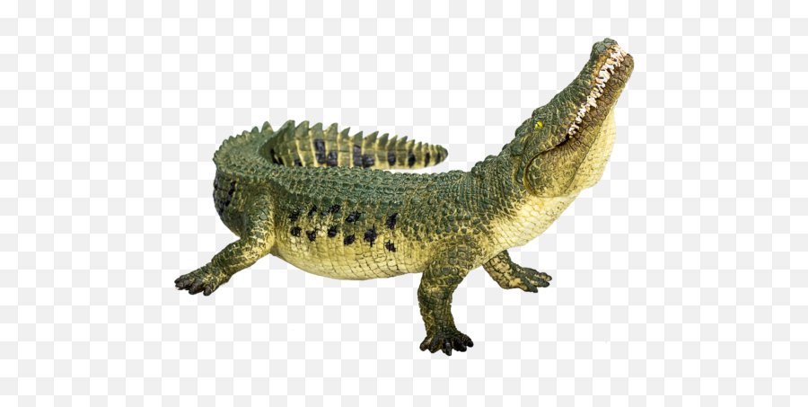 Crocodile With Articulated Jaw - Mojo Mojo Crocodile Png,Crocodile Png