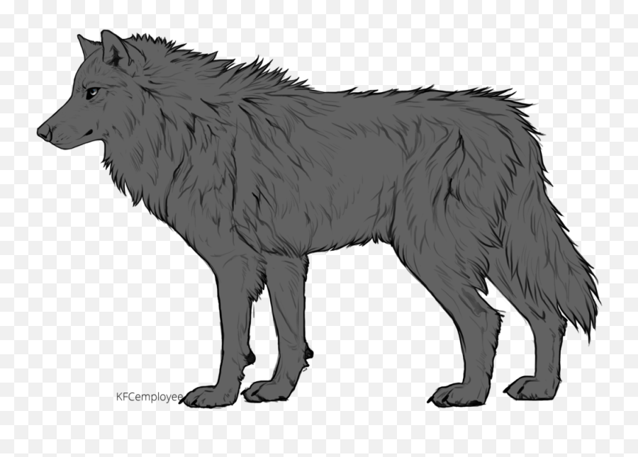 Drawing Of A Wolf Sitting Free Download - Wolf Drawing From The Side Png,Wolf Outline Png