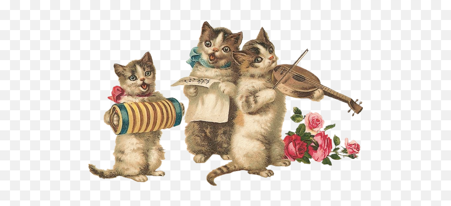 Wallpaper V - Alles Gute Zum Geburtstag Katze Png,Funny Cat Png