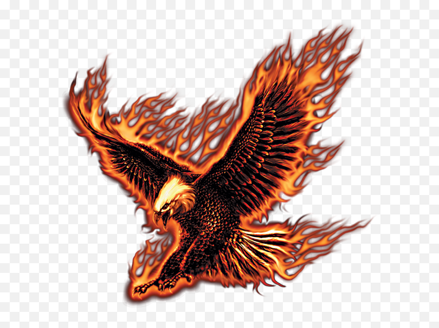 Download Jpg Black And White Library Flying Fire Eagle - Transparent Fire Eagle Png,Eagle Transparent Background