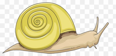 Snail - Servier Medical Art Snail Png,Snail Png