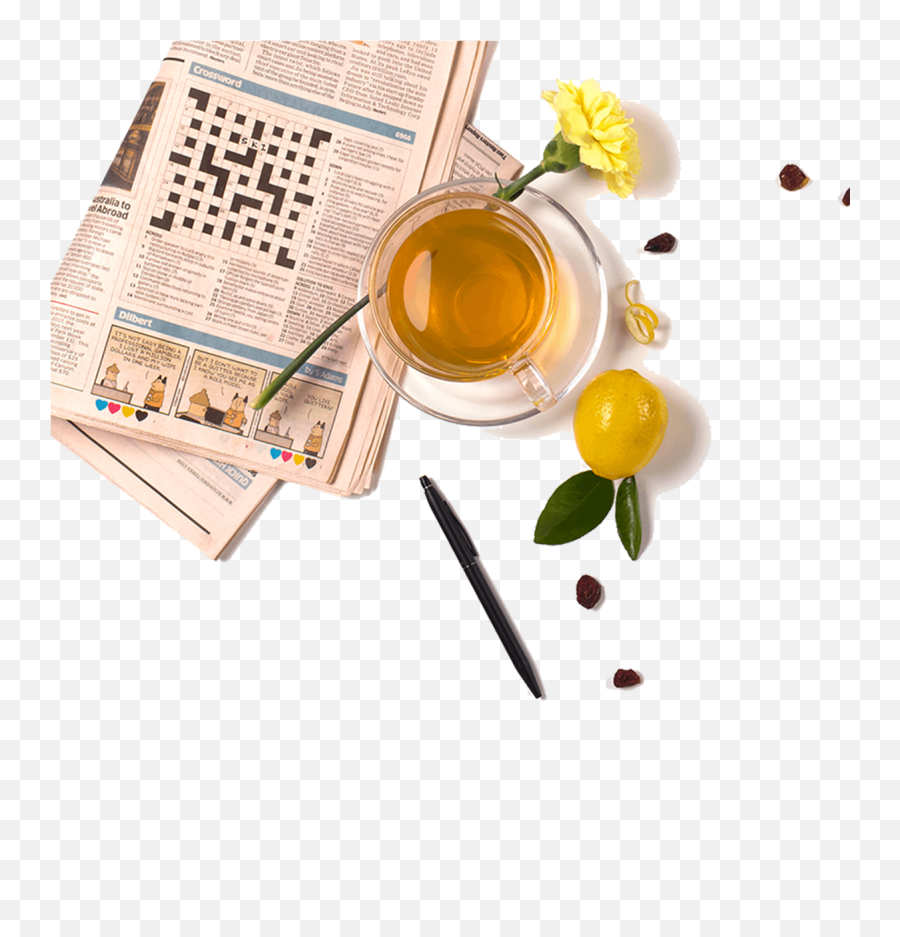 Honey Limón Lemon Green Tea I The Hillcart Tales - Chinese Herb Tea Png,Limon Png