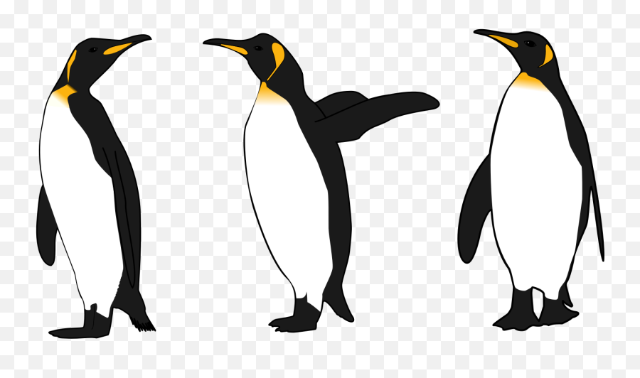 Transparent Background Free Penguin Clipart - Penguins Clip Art Png,Penguin Transparent Background