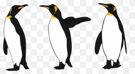 Transparent Background Free Penguin Clipart - Penguins Art png