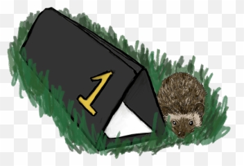 Online Hedgehog Surveying Workshop - Domesticated png
