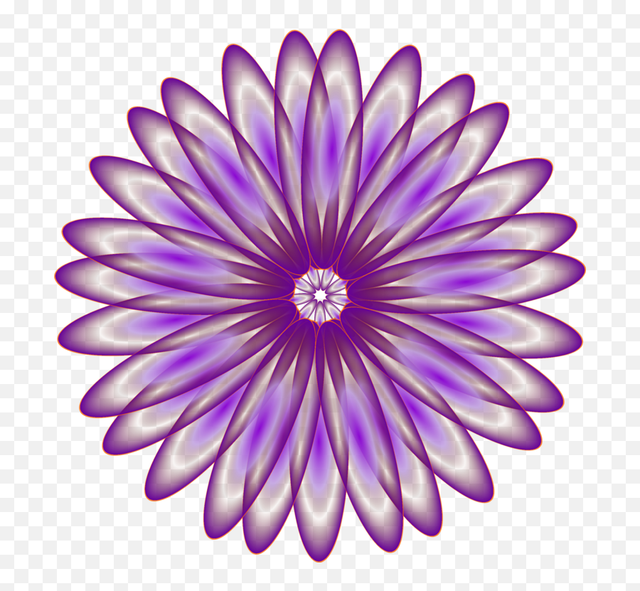 Chrysanthsflowersymmetry Png Clipart - Royalty Free Svg Png Dr Br Ambedkar Iti,Daisies Png