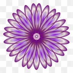 Chrysanthsflowersymmetry Png Clipart - Royalty Free Svg Png Dr Br Ambedkar Iti,Daisies Png