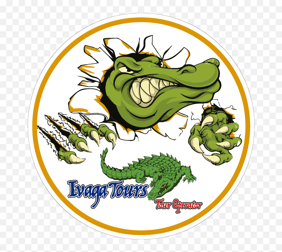Download Circulo - Blanco Mr Alligator Crocodile Workbook Of Angry Cartoon Alligator Png,Alligator Transparent