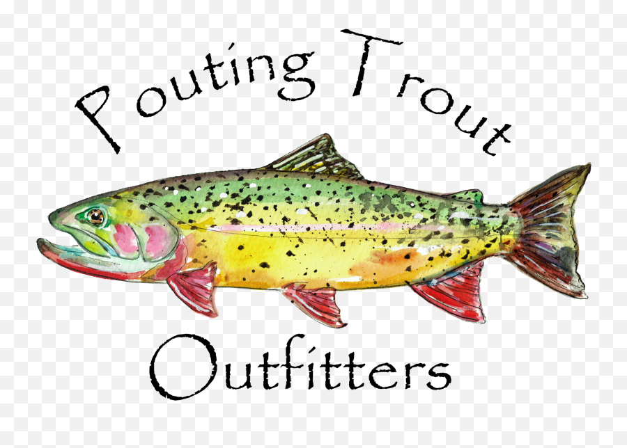 Download Trout - Fish Products Png,Trout Png