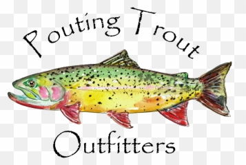 Download Trout - Fish Products Png,Trout Png