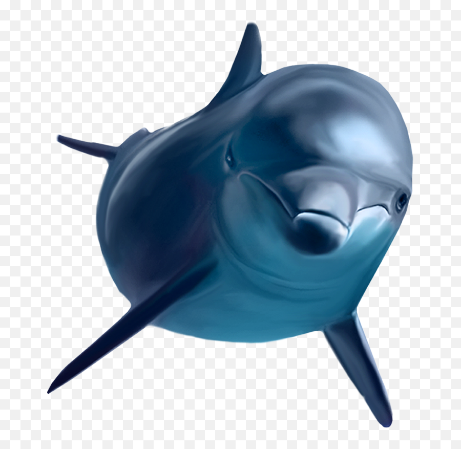 Free Dolphin Transparent Background - Dolphin Png,Dolphin Transparent Background