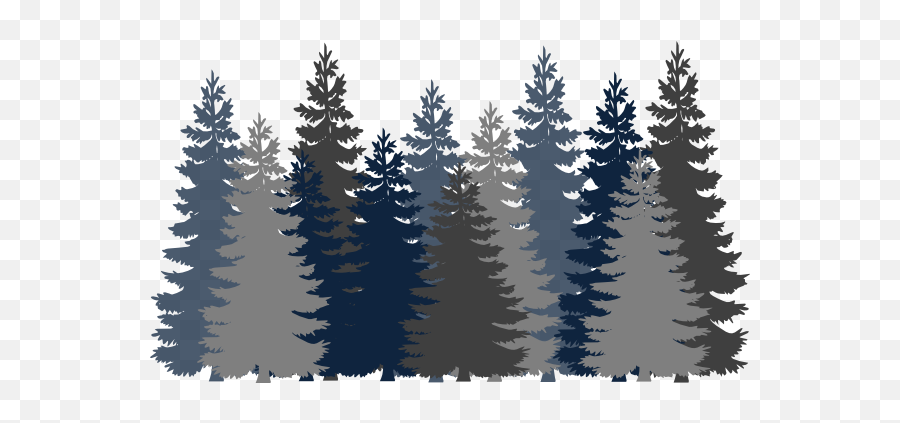 Picture - Forest Clipart Transparent Background Png,Forest Tree Png