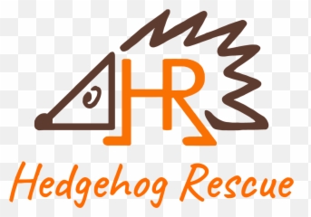 2019 Hedgehog Friendly Campus Launch School Of Biological - Vertical Png,Hedgehog Logo