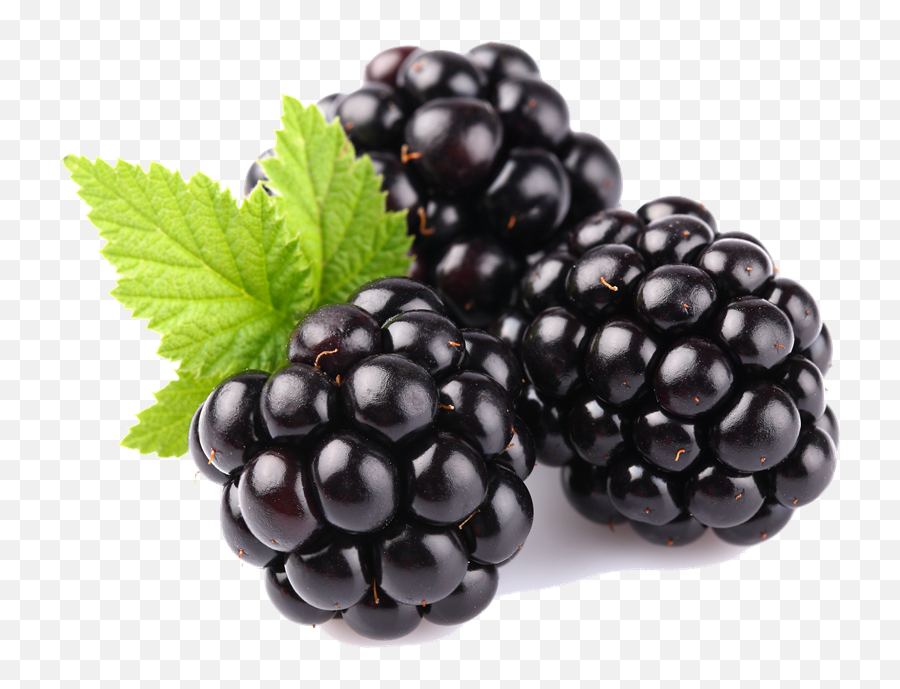 Blackberry Fruit Png Transparent Images - Fruits Blackberry,Blackberries Png