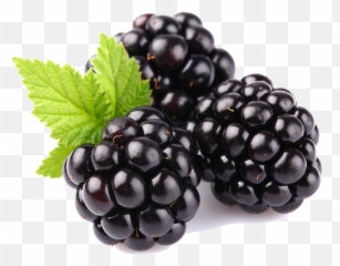 Blackberry Fruit Png Transparent Images - Fruits Blackberry,Blackberries Png