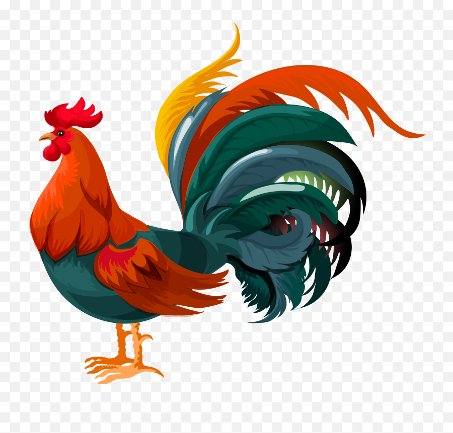 Hd Rooster Png Transparent Image