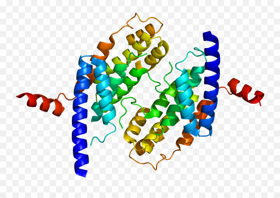 Protein Terf2 Pdb 1h6p - Vertical Png,Protein Png