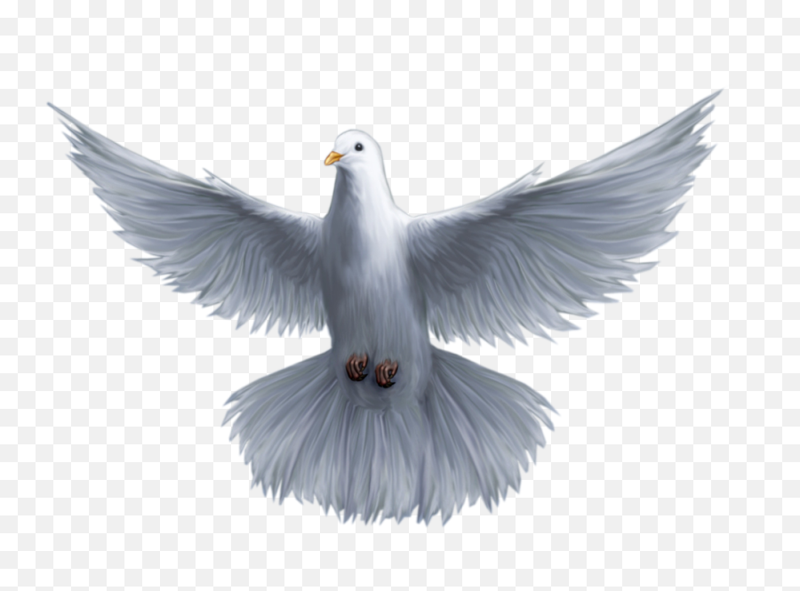 Download Holy God Pomba Saint Spirit Trinity Clipart Png - Holy Spirit White Dove,Trinity Png