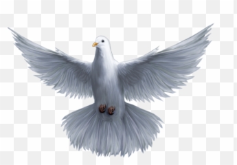 Download Holy God Pomba Saint Spirit Trinity Clipart Png - Holy Spirit White Dove,Trinity Png