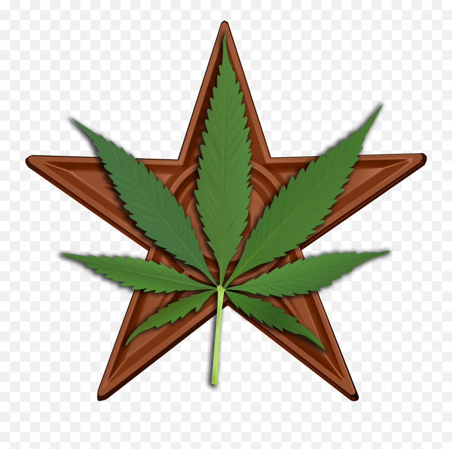 Cannabis Barnstar Hires - Star With Weed Leaf Png,Weed Png