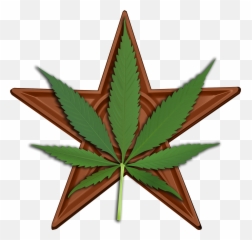 Cannabis Barnstar Hires - Star With Weed Leaf Png,Weed Png