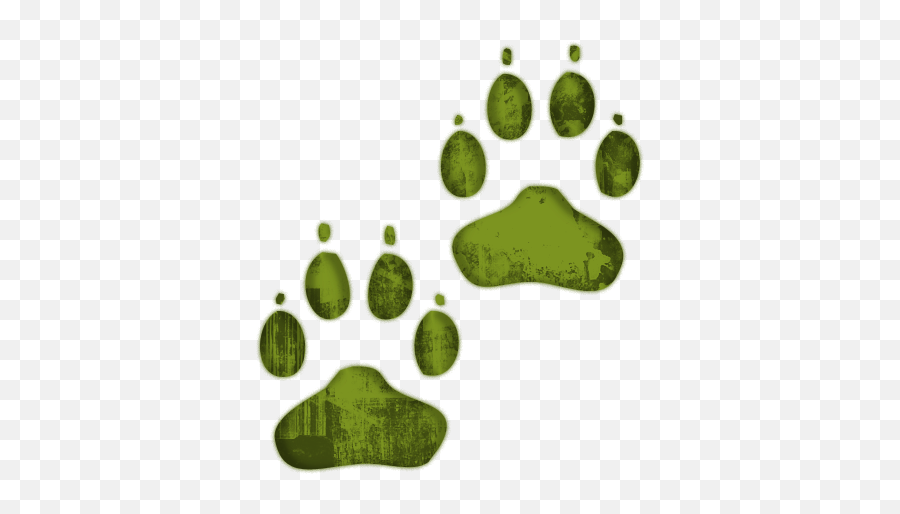 Green Dog Clipart - Clipart Suggest Transparent Background Dog Paw Png,Dog Paw Print Icon