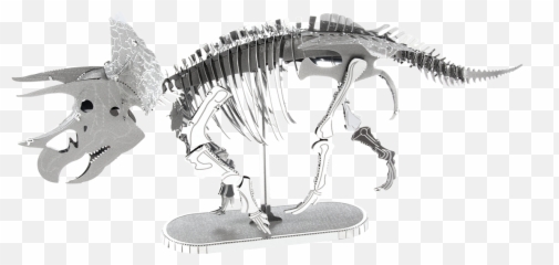 Metal Earth Triceraptops Skeleton Diy 3d - Metal Earth Tyrannosaurus Rex Png,Dinosaur Skull Png