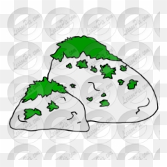 Moss Picture For Classroom Therapy Use - Great Moss Clipart Clip Art Png,Moss Png