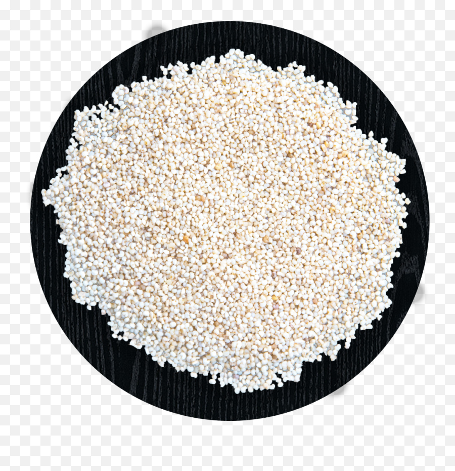 Sesame Seeds White Sada Til - Tsg Png,Seed Png