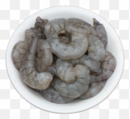 Download Laughing Bird Shrimp Litoanaeus Vannamei - Shrimp Laughing Bird Shrimp Logo Png,Shrimp Png