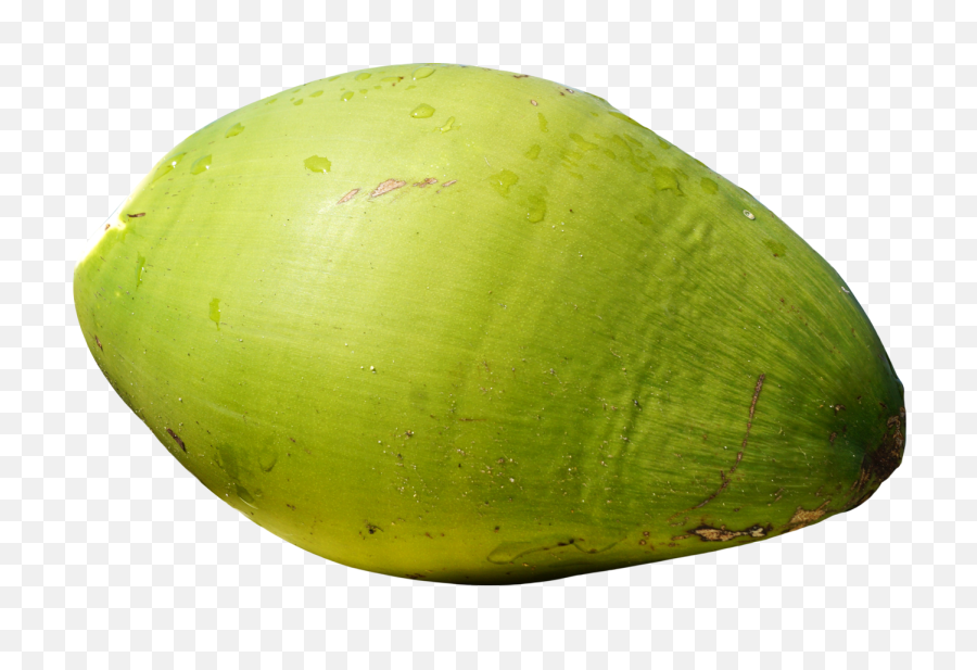 Green Coconut Png Image - Green Coconut Png,Coconut Png