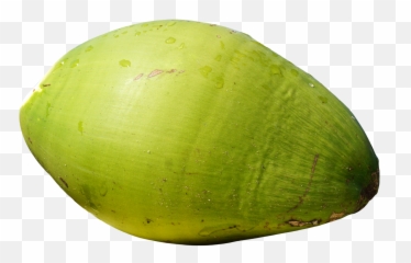 Green Coconut Png Image - Green Coconut Png,Coconut Png