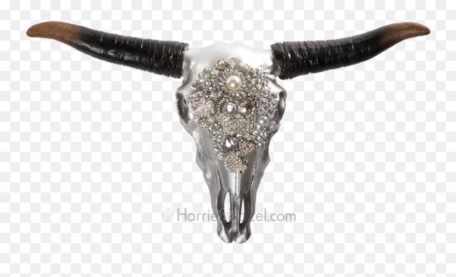 Download Hd Hh Skull - Bull Transparent Png Image Nicepngcom Cow Skull Transparent Hd,Bull Transparent