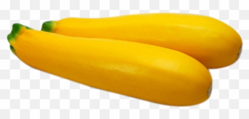 Zucchini Yellow - Yellow Zucchini Transparent Png,Zucchini Png