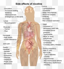Side Effects Of Nicotine Png