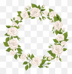 29 White Rose Clipart Transparent Background Free Art - Border Roses png