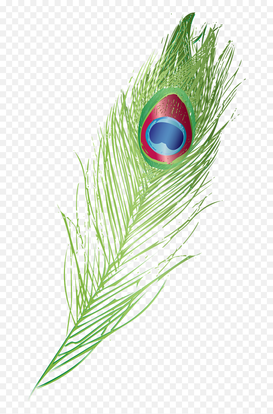 Graphic Peacock Feather - Free Vector Graphic On Pixabay Krishna Ji Peacock  Feather Cartoon Png,Peacock Feathers Png - free transparent png images -  