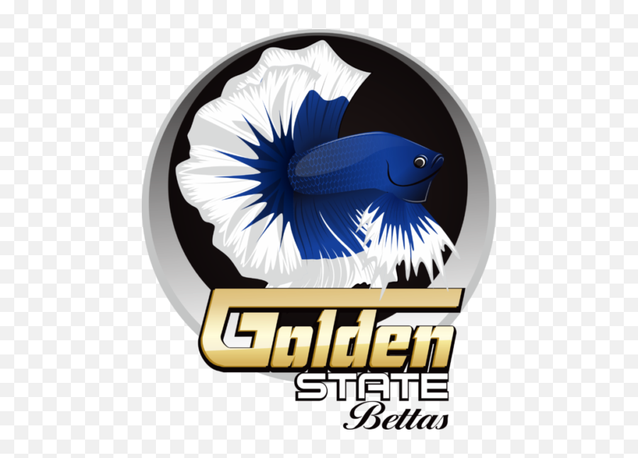 2018 Ibc General Convention U2013 International Betta Congress - Betta Fish Sticker Logo Png,Betta Fish Png