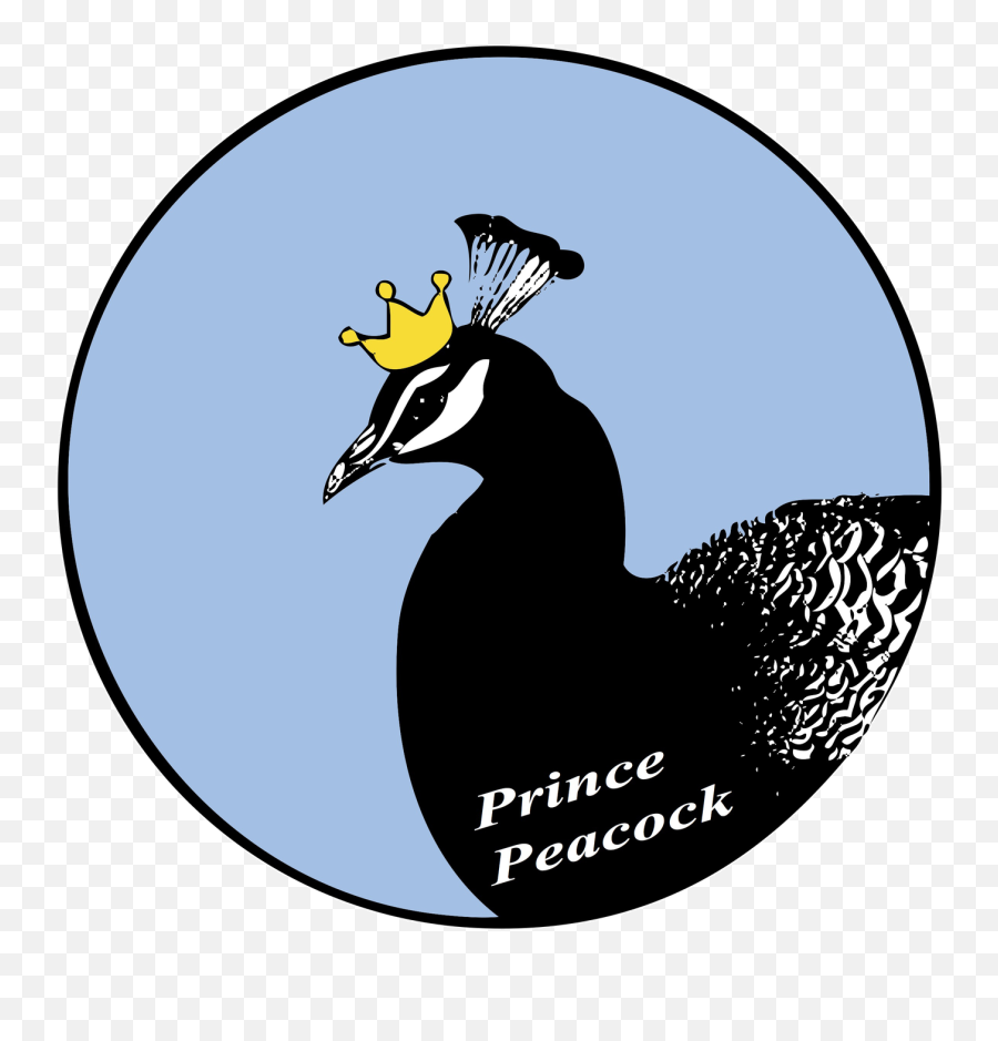 Troubleshooting Venmo U2013 Prince Peacock - The Vigeland Park Png,Venmo Logo Png