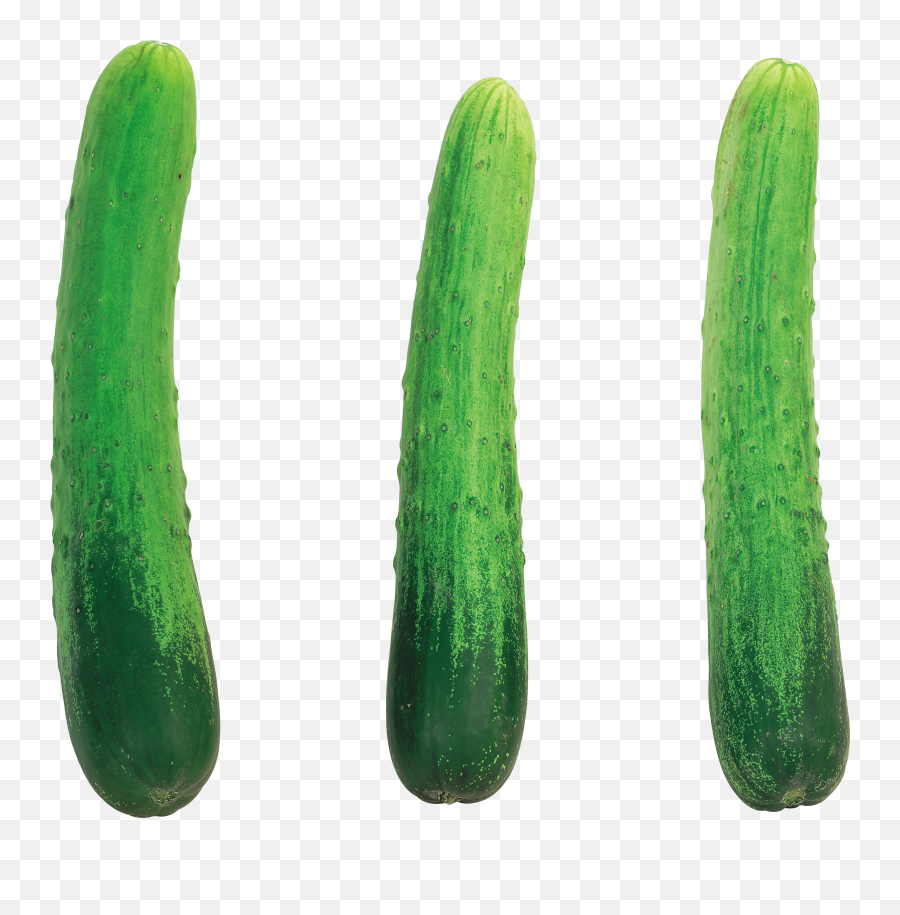 Cucumber Png Image For Free Download - Cucumber Pic With No Background,Cucumber Transparent