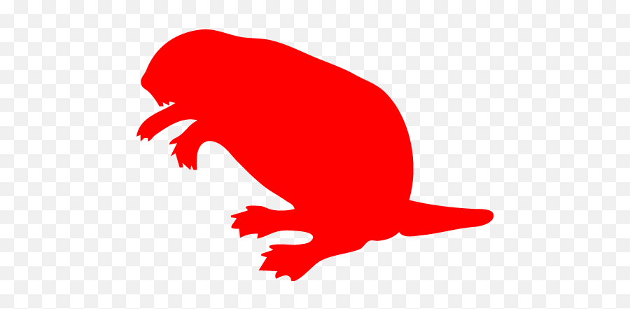 Red Beaver Icon - Beaver Clip Art Png,Beaver Png