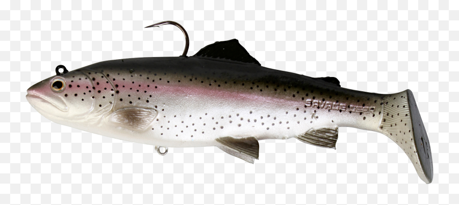 Brown Trout Rainbow 3d Modeling - Savage Gear 3d Trout Rattle Shad Png,Trout Png