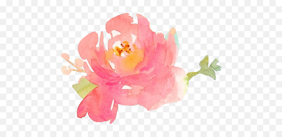 Watercolor Peony Png Image - Watercolor Painting,Peony Png
