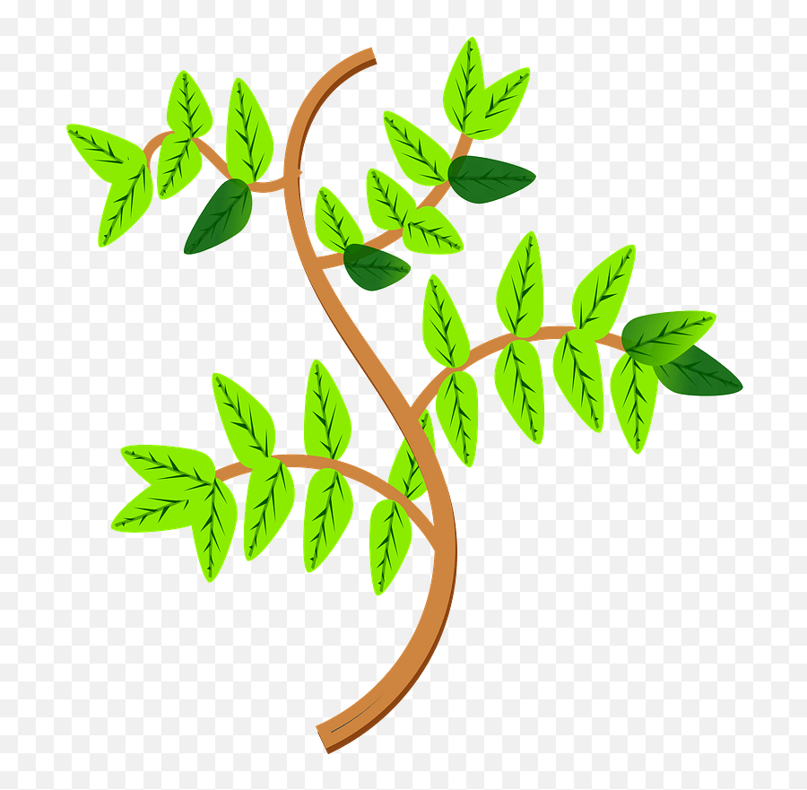 Leaves And Branches Clipart - Clipart Branches Png,Transparent Leaves