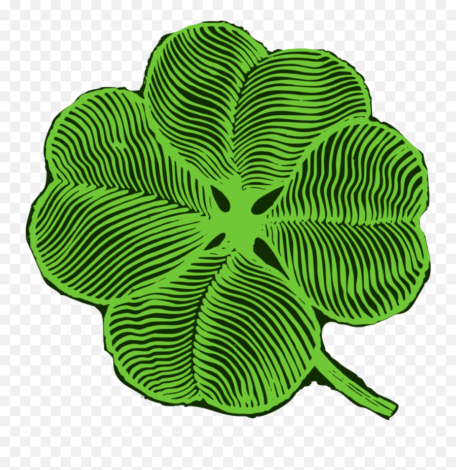 Four Leaf Clover - Superstitions Png,Four Leaf Clover Transparent