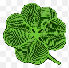 Four Leaf Clover - Superstitions Png