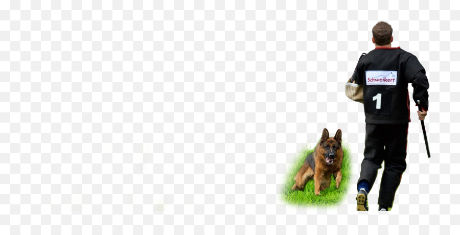 Home - Animal Trainer Png,German Shepherd Transparent