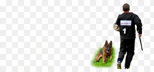 Home - Animal Trainer Png,German Shepherd Transparent
