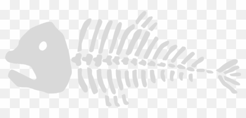 Dead Fish Bones Png Transparent - Dead Fish Skeleton Drawing Transparent,Fish Skeleton Png