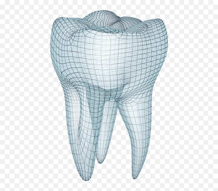 Download Hd Pharmaceutical And Dental Wax - Molar Teeth Transparent Tooth Molar Png,Monster Teeth Png